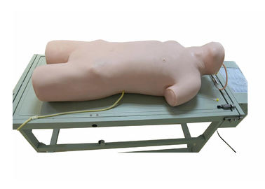 病院の訓練のための広範囲の穿刺の臨床シミュレーションさまざまな 体位