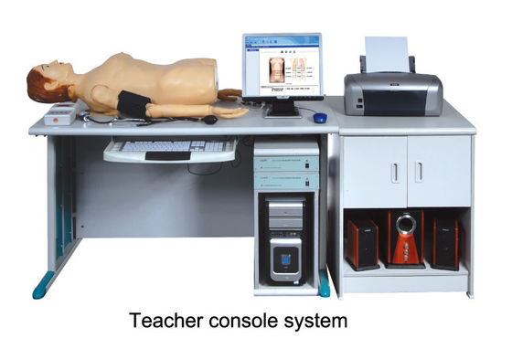 腹部の 聴診 の人体摸型の女性が付いている高く理性的なデジタル通信網